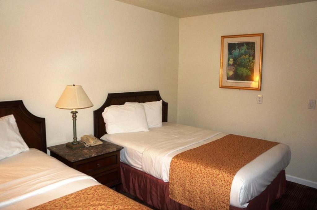Waterford Inn Eksteriør bilde